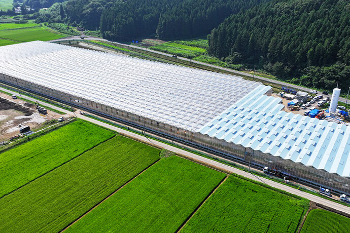 建築面積2.7haの大規模ハウスです。