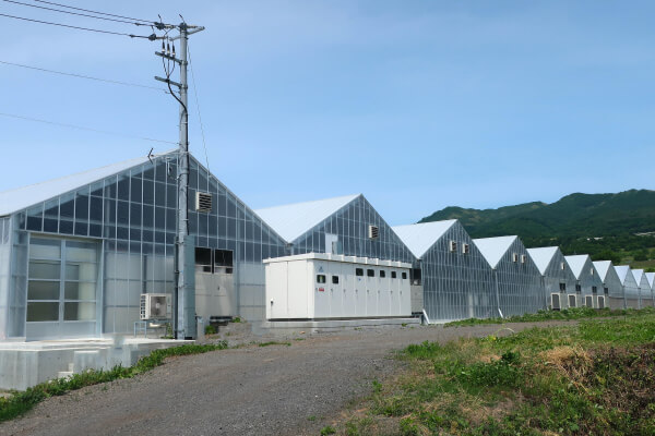 施設面積約9,000㎡の生産施設です。