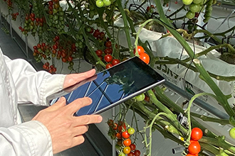 Controlling the greenhouse environment by Profarm®